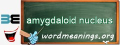 WordMeaning blackboard for amygdaloid nucleus